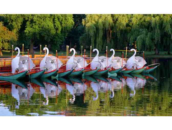 Swan Boats of Boston: 4 Swan Boat Rides