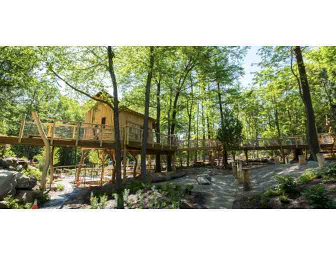 The Discovery Museums: Admission for 4