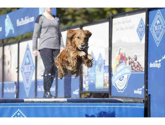 Topsfield Fair: Family Four Pack