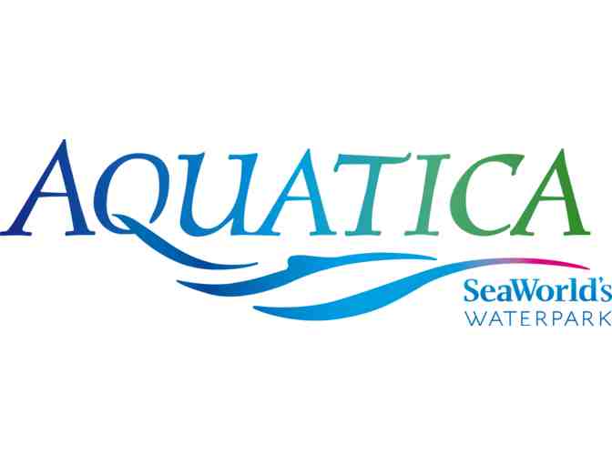 Orlando Adventure for 4