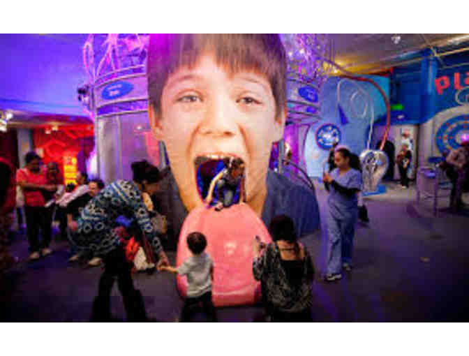 Family Membership at CMOM