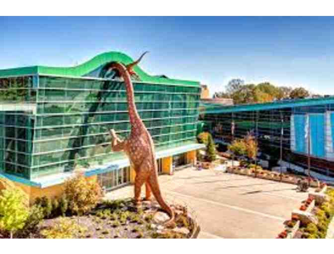 One-Year Membership to Brooklyn Children's Museum