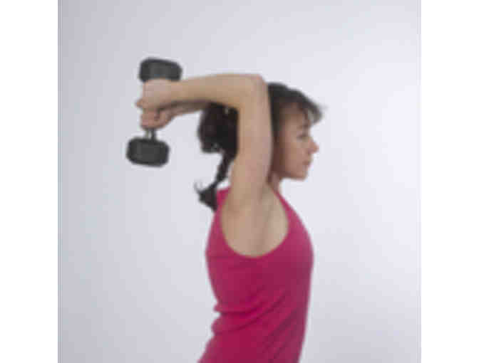 Fitness Assessment & Training Session