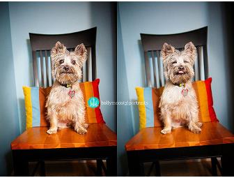 1-hour pet photo session with Holly McCaig