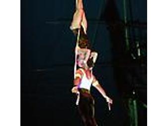 Run Away with the Circus