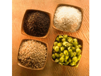 Anheuser-Busch beer school for 10