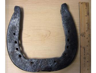Clydesdale horseshoe