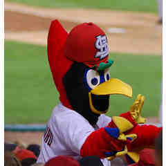 Fredbird