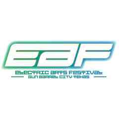 Electric Arts Festival