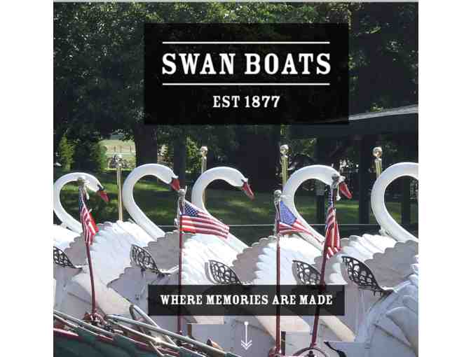Ten Boston Swan Boat Rides - Photo 1