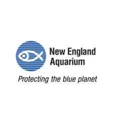 New England Aquarium