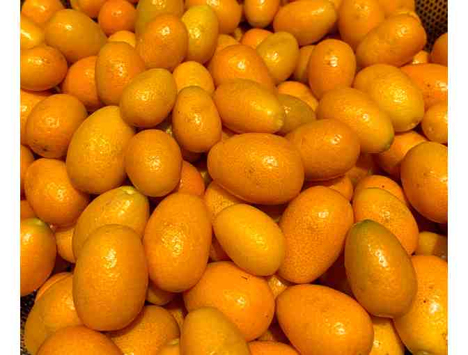 Homemade Organic Kumquat Preserves in Vanilla Bean Syrup from Behruz Nassre