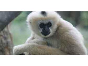 Roger WIlliams Park Zoo Family Plus Membership