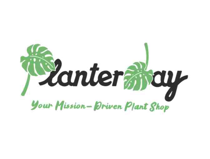 Planterday: voucher for 4" plant in deorative pot - Photo 1
