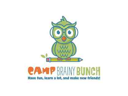 Camp Brainy Bunch: $250 off any summer day camp (grades 1-6)