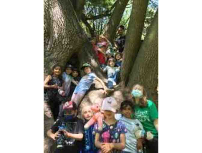 Monkey Business Camp: $150 gift certificate - Photo 2