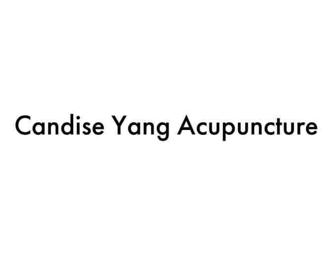 Candise Yang Acupuncture: $275 gift certificate - Photo 1