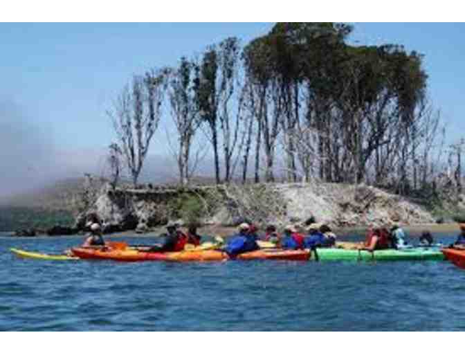 Blue Waters Kayaking: 4-hour tandem kayak rental