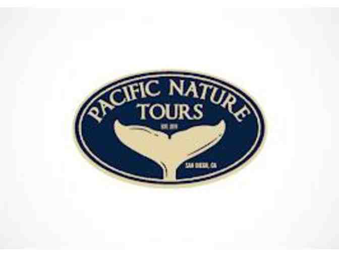 4 half day whale watching tickets with lunch in San Diego,Ca (Pacific Nature Tours)