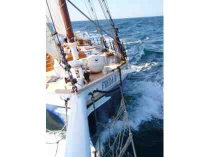 Two tickets for public sail by SF Bay Adventures