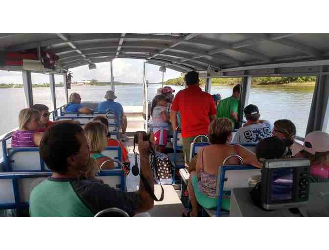 4 manatee dolphin tour passes Ponce Inlet/Daytona Beach + MORE!!