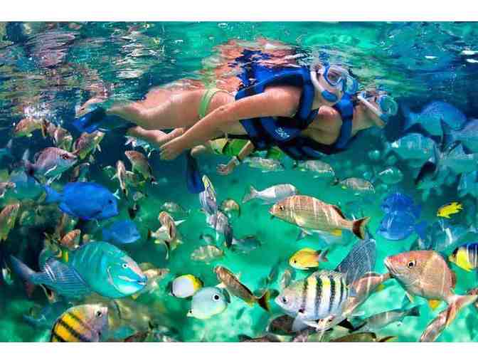 Enjoy PRIVATE ECO REEF/SNORKEL TOUR for 6 #1 Rated Namaste Eco Tours Key West + MORE