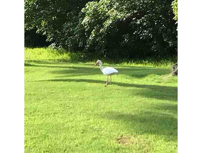 Ultimate Miami, FL Golf Getaway! Crandon Golf at Key Biscayne + 3 nights LUXE + $200 FOOD