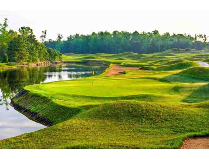 Enjoy Golf for 4 @ Barefoot Resort - Norman, Love, Fazio Resort Myrtle Beach + $100 Food C