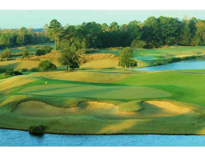 Enjoy Golf for 4 @ Barefoot Resort - Norman, Love, Fazio Resort Myrtle Beach + $100 Food C