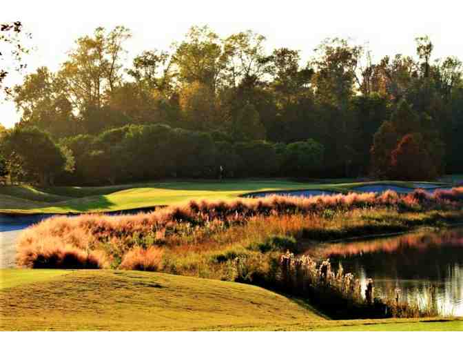 Enjoy Golf for 4 @ Barefoot Resort - Norman, Love, Fazio Resort Myrtle Beach + $100 Food C