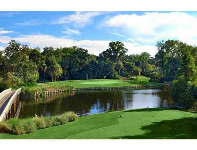 Enjoy Golf for 4 @ Palmetto Dunes Resort - Arthur Hills Course Hilton Head,SC + $100 FOOD