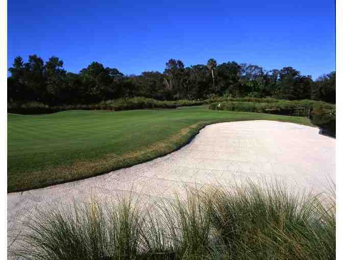 Enjoy Golf for 4 @ Palmetto Dunes Resort - Arthur Hills Course Hilton Head,SC + $100 FOOD