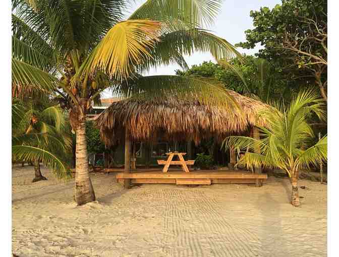 7 nights Hummingbird Western Caribbean Belize ROATAN 5 STAR REVIEWS + $100 FOOD CREDIT