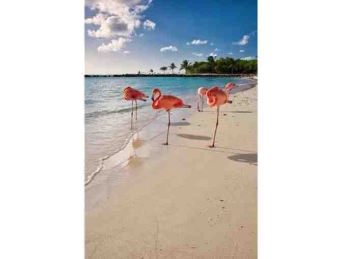 5 Days/4 Nights Oceanfront Room for Two in beautiful ARUBA!