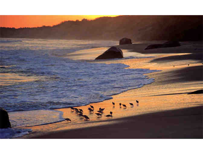 Catch The Fall Season on Martha's Vineyard - A Waterfront Home in Oak Bluffs