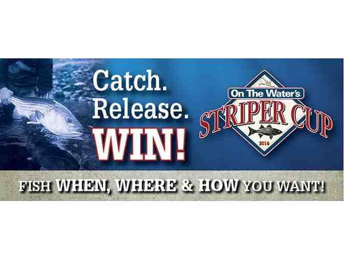 Catch The Fall Season on Martha's Vineyard - A Waterfront Home in Oak Bluffs