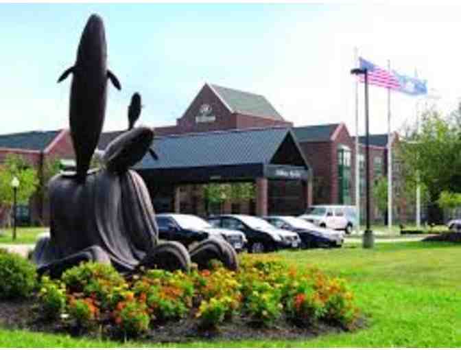 Mystic Adventure for 4