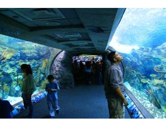 2 Tickets to the Aquarium of the Pacific