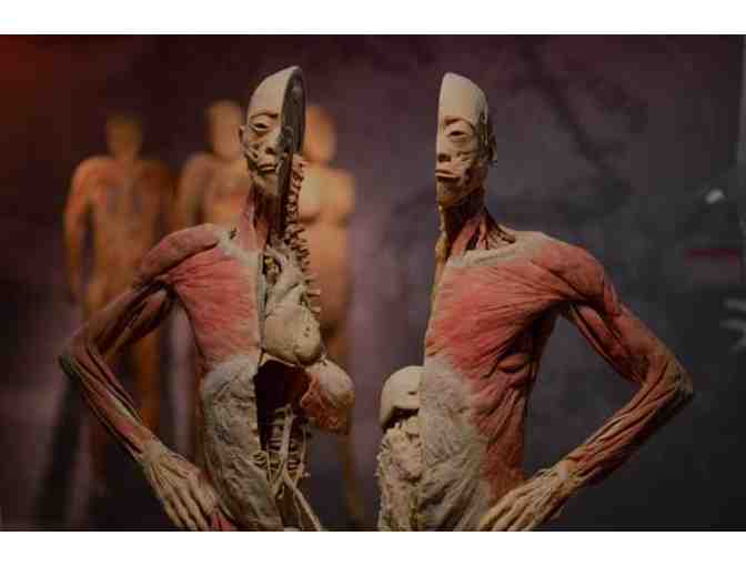 Real Bodies at Bally's Family 4-Pack