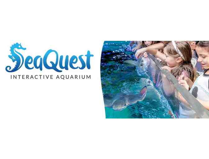 SeaQuest Interactive Aquarium Annual Family Pass (5) Pack