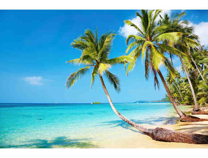 Royal Caribbean Cruises