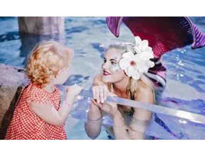 SeaQuest Interactive Aquarium Annual Family Pass (5) Pack