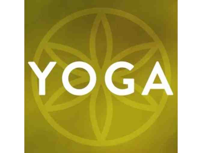 1 Hour Private Yoga Session