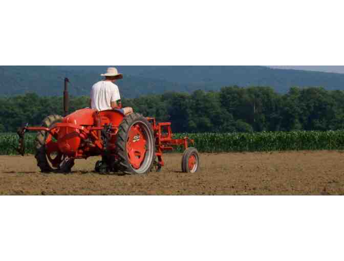 Picadilly Farm CSA Organic Share (25 weeks)