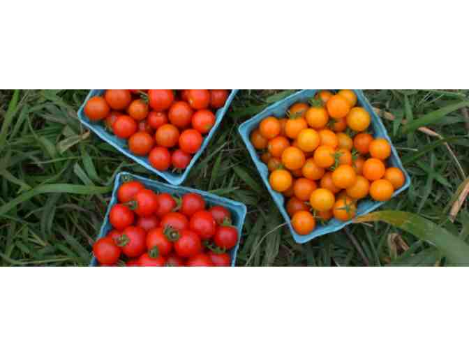 Picadilly Farm CSA Organic Share (25 weeks)