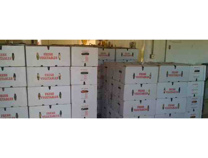 Picadilly Farm CSA Organic Share (25 weeks)