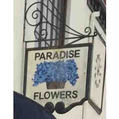 Paradise Flowers