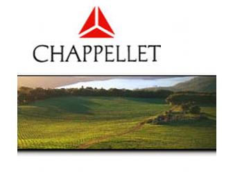 Chappellet Vineyard Picnic for 8 benefiting Cope Family Center