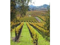 A Complete Napa Valley Get Away Benefiting Family Service of Napa Valley