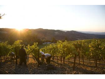 'A Perfect Pair'- Shafer Vineyards & Brix for the St. Helena & Calistoga Family Centers